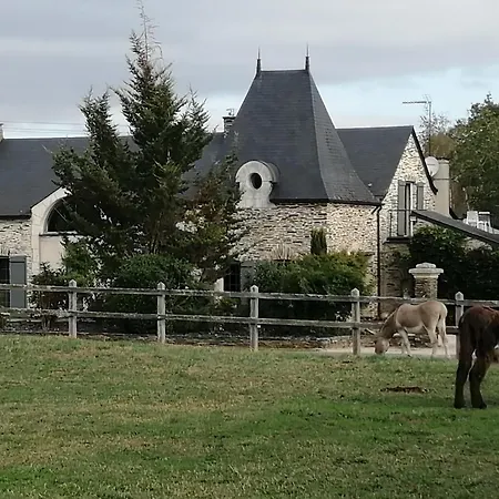 Gite Belle Fontaine Pensjonat
