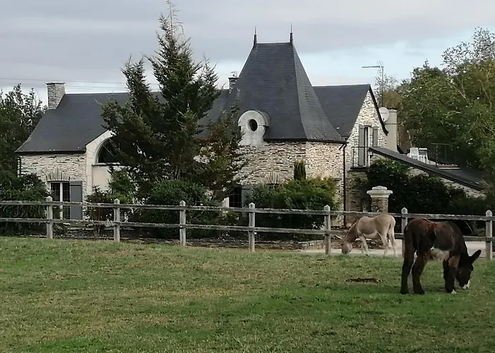 Gite Belle Fontaine 招待所